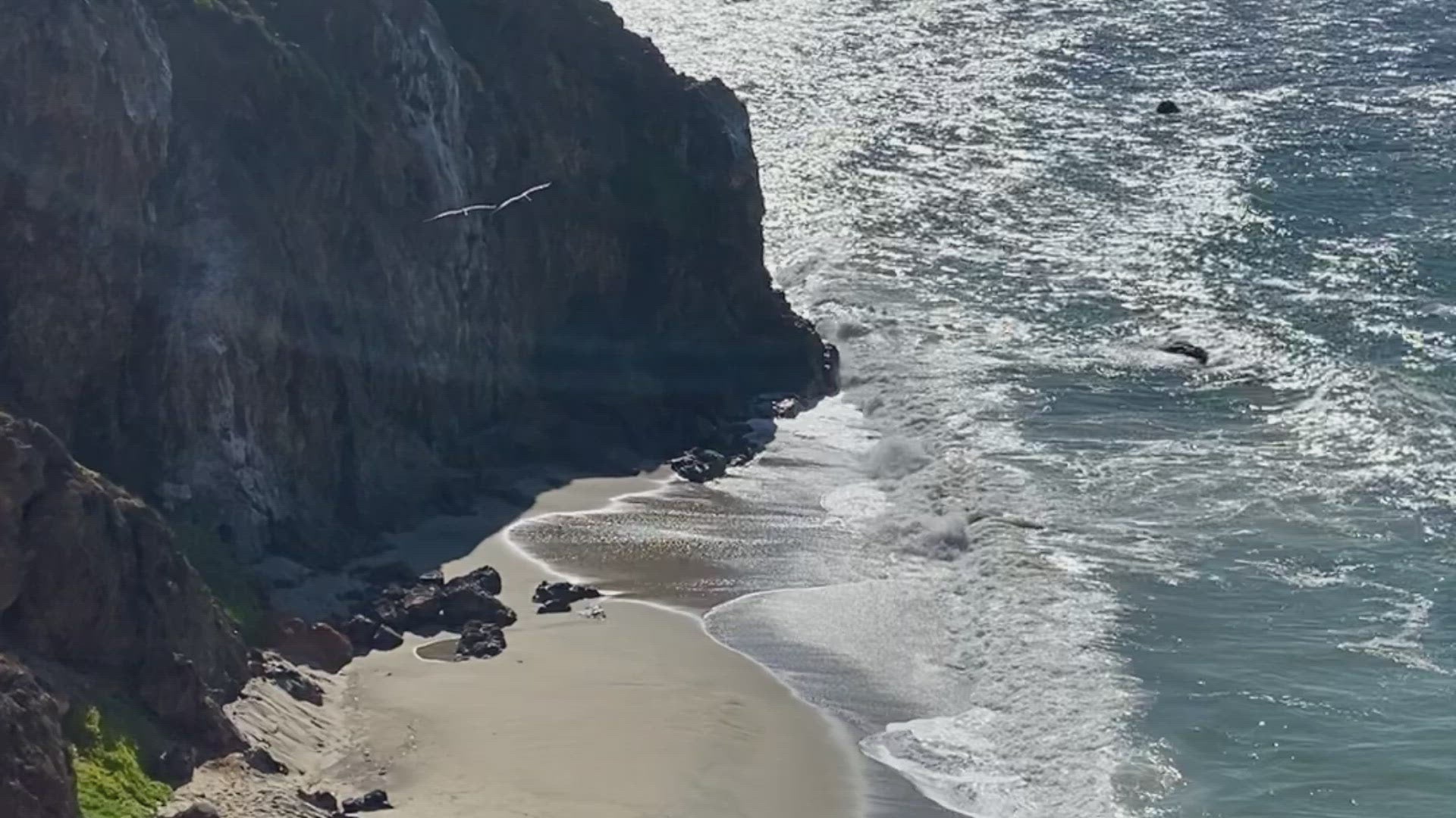 A pair of Pelicans soar over the Los Angeles coastline and the amazingly blue Pacific Ocean. The background is a private or secret beach in Malibu California where the waves wash ashore a secluded sandy beach surrounded by the jagged cliffside. 